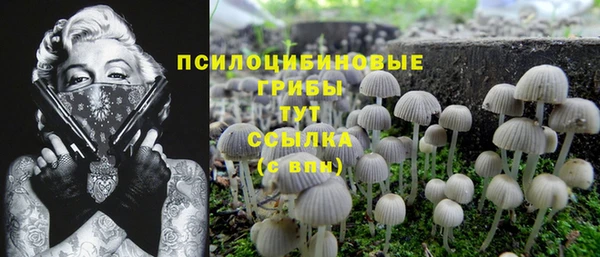 каннабис Белокуриха