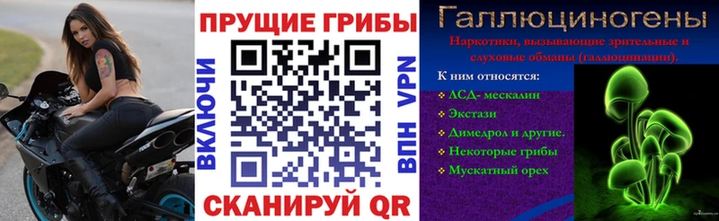 Галлюциногенные грибы мицелий  цены   Электрогорск 